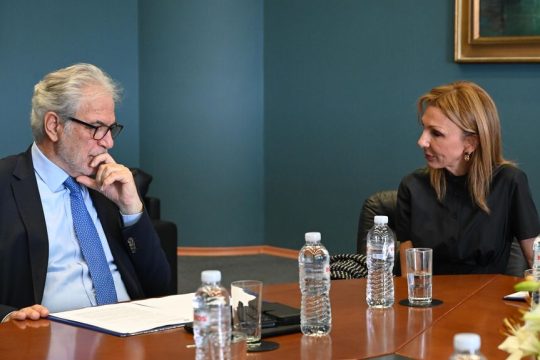 stylianidis - traulou
